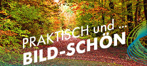 Monatskalender mit Platz für Notizen